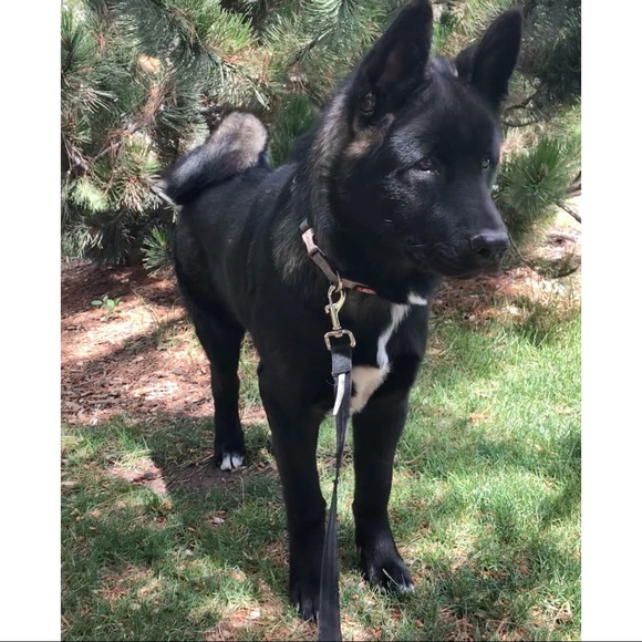 Hi! I’m Brianna! - Picture 5 of 5